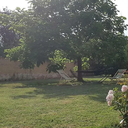 Les 5 Pieds De Vigne Holiday home Emeringes